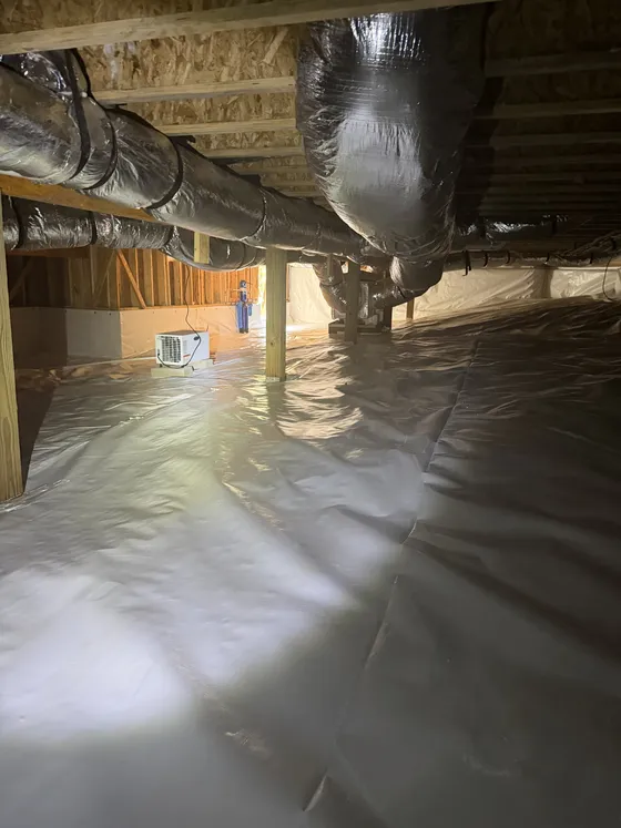 Crawl space after: a bright white liner under the beams